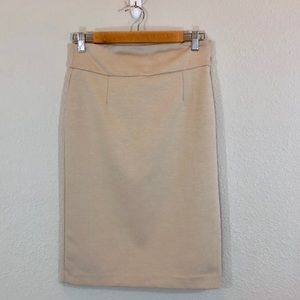 Grace Women’s Beige Pencil Skirt